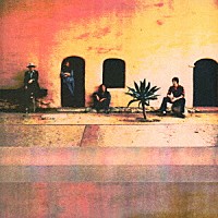 ポコ「 シマロンの薔薇」