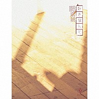 ＲＡＩＮＺ「 好きなんて」