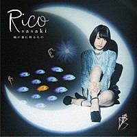 佐々木李子「 瞼の裏に映るモノ」