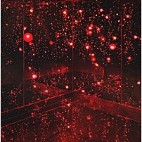 ｔａｃｉｃａ 「煌々／ホワイトランド」