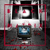 ｖｉｓｔｌｉｐ 「ＢＬＡＣＫ　ＭＡＴＲＩＸ」