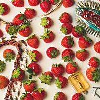 ＨｉＧＥ 「ＳＴＲＡＷＢＥＲＲＹ　ＡＮＮＩＶＥＲＳＡＲＹ」