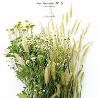 大貫妙子「 Ｐｕｒｅ　Ａｃｏｕｓｔｉｃ　２０１８」