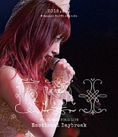 遠藤ゆりか「 ＹＵＲＩＫＡ　ＥＮＤＯ　ＦＩＮＡＬ　ＬＩＶＥ　Ｅｍｏｔｉｏｎａｌ　Ｄａｙｂｒｅａｋ」