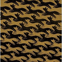 キツネツキ 「キツネノマド」