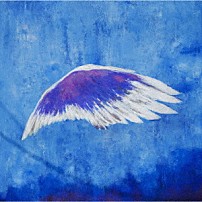 みやかわくん 「イダテンドリーマー」