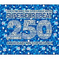 （Ｖ．Ａ．） エフ・シー・エフ アルファタウン メラ デ・ニーロ サンディー・ビー 浜崎あゆみ Ｅｖｅｒｙ　Ｌｉｔｔｌｅ　Ｔｈｉｎｇ「スーパーユーロビート　ＶＯＬ．２５０」