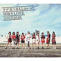 ＡＮＧＥＲＭＥ 「タデ食う虫もＬｉｋｅ　ｉｔ！／４６億年ＬＯＶＥ」