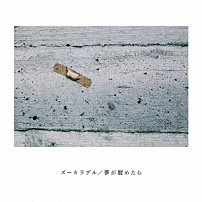 ズーカラデル 「夢が醒めたら」