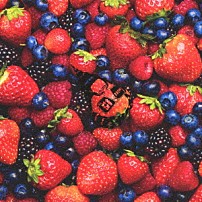 髭（ＨｉＧＥ） 「ＳＴＲＡＷＢＥＲＲＹ　ＴＩＭＥＳ　（Ｂｅｒｒｙ　Ｂｅｓｔ　ｏｆ　ＨｉＧＥ）」