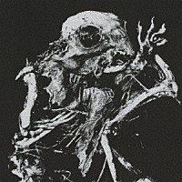 ＢｉＳ２ｎｄ「アゲンストザペイン」