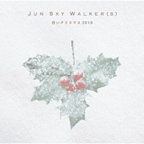 ＪＵＮ　ＳＫＹ　ＷＡＬＫＥＲ（Ｓ） 「白いクリスマス　２０１８」