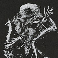 ＢｉＳ２ｎｄ 「アゲンストザペイン」