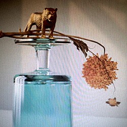 ベイルート「Ｇａｌｌｉｐｏｌｉ」