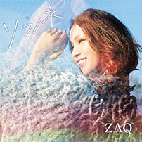 ＺＡＱ 「ソラノネ」