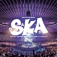 東京スカパラダイスオーケストラ 「２０１８　Ｔｏｕｒ　「ＳＫＡＮＫＩＮＧ　ＪＡＰＡＮ」　“スカフェス　ｉｎ　城ホール”　２０１８．１２．２４」
