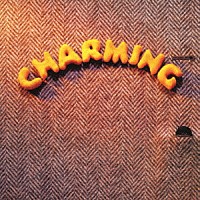 スターダスト☆レビュー「 ＣＨＡＲＭＩＮＧ」