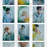 ＸＯＸ 「滑走路に咲く」