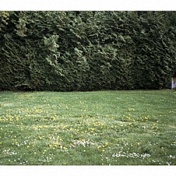 ｍｉｔｓｕｍｅ「Ｇｈｏｓｔｓ」