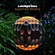 フローティング・ポインツ「Ｌａｔｅ　Ｎｉｇｈｔ　Ｔａｌｅｓ：　Ｆｌｏａｔｉｎｇ　Ｐｏｉｎｔｓ」