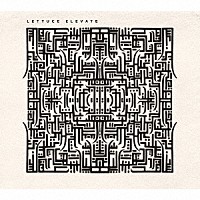 レタス「 エレヴェイト」