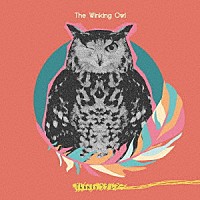 Ｔｈｅ　Ｗｉｎｋｉｎｇ　Ｏｗｌ「 Ｔｈａｎｋｓラブレター」