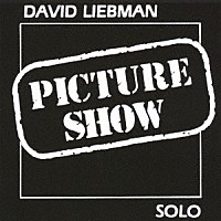 デヴィッド・リーブマン「 ピクチャー・ショウ」