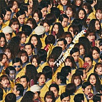 ＳＨＥ　ＩＳ　ＳＵＭＭＥＲ 「ＭＩＲＡＣＬＥ　ＦＯＯＤ」