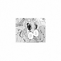 スカート 「トワイライト」