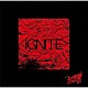Ｒｏｙｚ「ＩＧＮＩＴＥ」