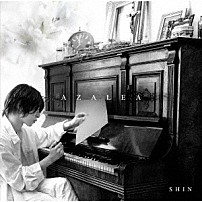 ＳＨＩＮ 「ＡＺＡＬＥＡ」