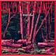 浅井健一「ＢＬＯＯＤ　ＳＨＩＦＴ」