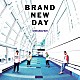 シクラメン「ＢＲＡＮＤ　ＮＥＷ　ＤＡＹ」