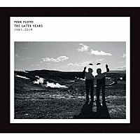 ピンク・フロイド「 ザ・レイター・イヤーズ・ハイライト」