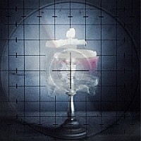 Ｐｌａｓｔｉｃ　Ｔｒｅｅ「 潜像」