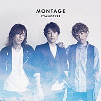 ＣＹＡＮＯＴＹＰＥ「 ＭＯＮＴＡＧＥ」