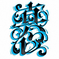 真心ブラザーズ 「トランタン」