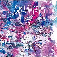 Ｒｏｙｚ「 Ｉ　ＡＭ　ＷＨＡＴ　Ｉ　ＡＭ」