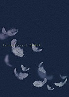 乃木坂４６「 いつのまにか、ここにいる　Ｄｏｃｕｍｅｎｔａｒｙ　ｏｆ　乃木坂４６　コンプリートＢＯＸ」