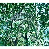 ｗａｃｃｉ 「Ｅｍｐａｔｈｙ」