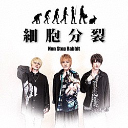 ＮＯＮ　ＳＴＯＰ　ＲＡＢＢＩＴ「細胞分裂」