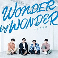 とけた電球「 ＷＯＮＤＥＲ　ｂｙ　ＷＯＮＤＥＲ」