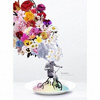 ＳＣＡＮＤＡＬ「 Ｋｉｓｓ　ｆｒｏｍ　ｔｈｅ　ｄａｒｋｎｅｓｓ」