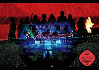 欅坂４６「 欅坂４６　ＬＩＶＥ　ａｔ　東京ドーム　～ＡＲＥＮＡ　ＴＯＵＲ　２０１９　ＦＩＮＡＬ～」