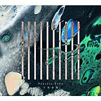 Ｐｌａｓｔｉｃ　Ｔｒｅｅ「 十色定理」