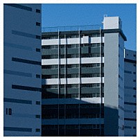 クリープハイプ 「愛す」