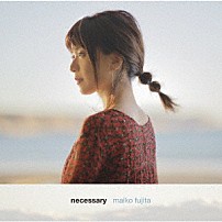 藤田麻衣子 「ｎｅｃｅｓｓａｒｙ」