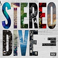 ＳＴＥＲＥＯ　ＤＩＶＥ　ＦＯＵＮＤＡＴＩＯＮ 「ＳＴＥＲＥＯ　ＤＩＶＥ」