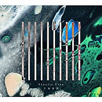 Ｐｌａｓｔｉｃ　Ｔｒｅｅ 「十色定理」