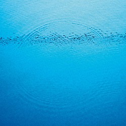 カリブー「Ｓｕｄｄｅｎｌｙ」